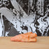 object/wi20-090